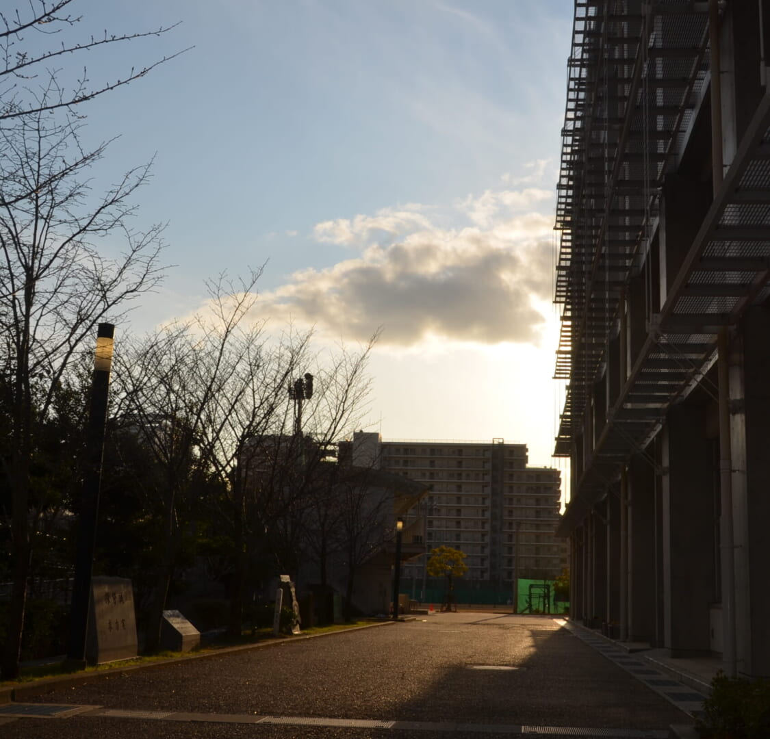 DSC_0302