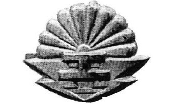 img11